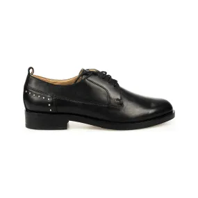 D02HMG 00043 | Brogue - Buy Online