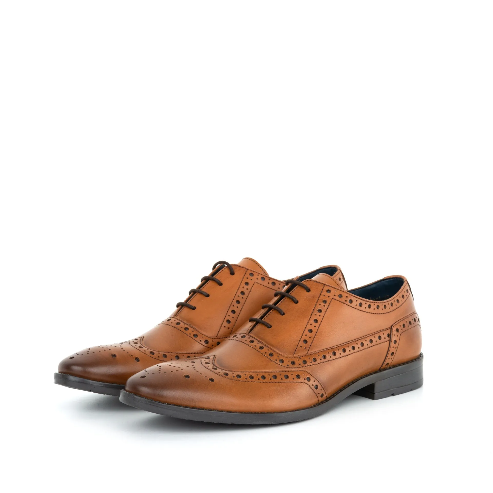 Hackney Tan Oxford Brogue Men