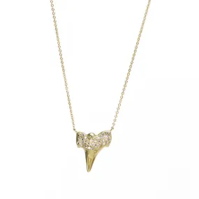 Shark Tooth Gemstone Necklace