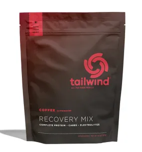 Tailwind Recovery Drink, 15 Serving