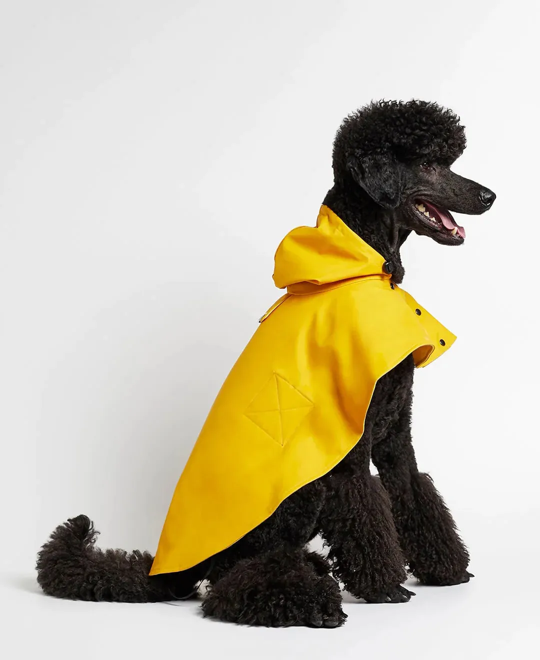 William Yellow Rain Cape for Dogs, Waterproof and Durable, Ideal for Wet Weather.