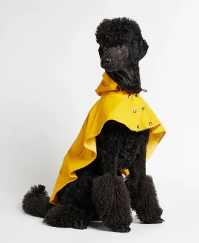 William Yellow Rain Cape for Dogs, Waterproof and Durable, Ideal for Wet Weather.