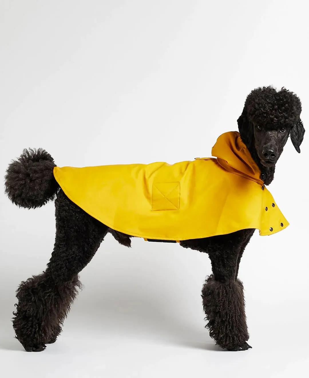 William Yellow Rain Cape for Dogs, Waterproof and Durable, Ideal for Wet Weather.