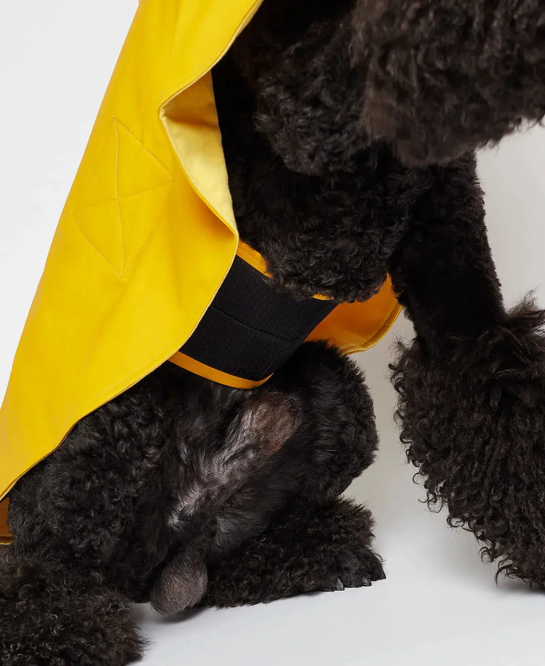 William Yellow Rain Cape for Dogs, Waterproof and Durable, Ideal for Wet Weather.