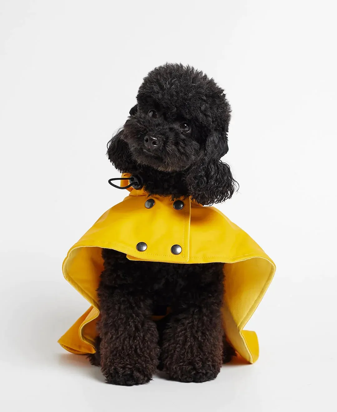 William Yellow Rain Cape for Dogs, Waterproof and Durable, Ideal for Wet Weather.